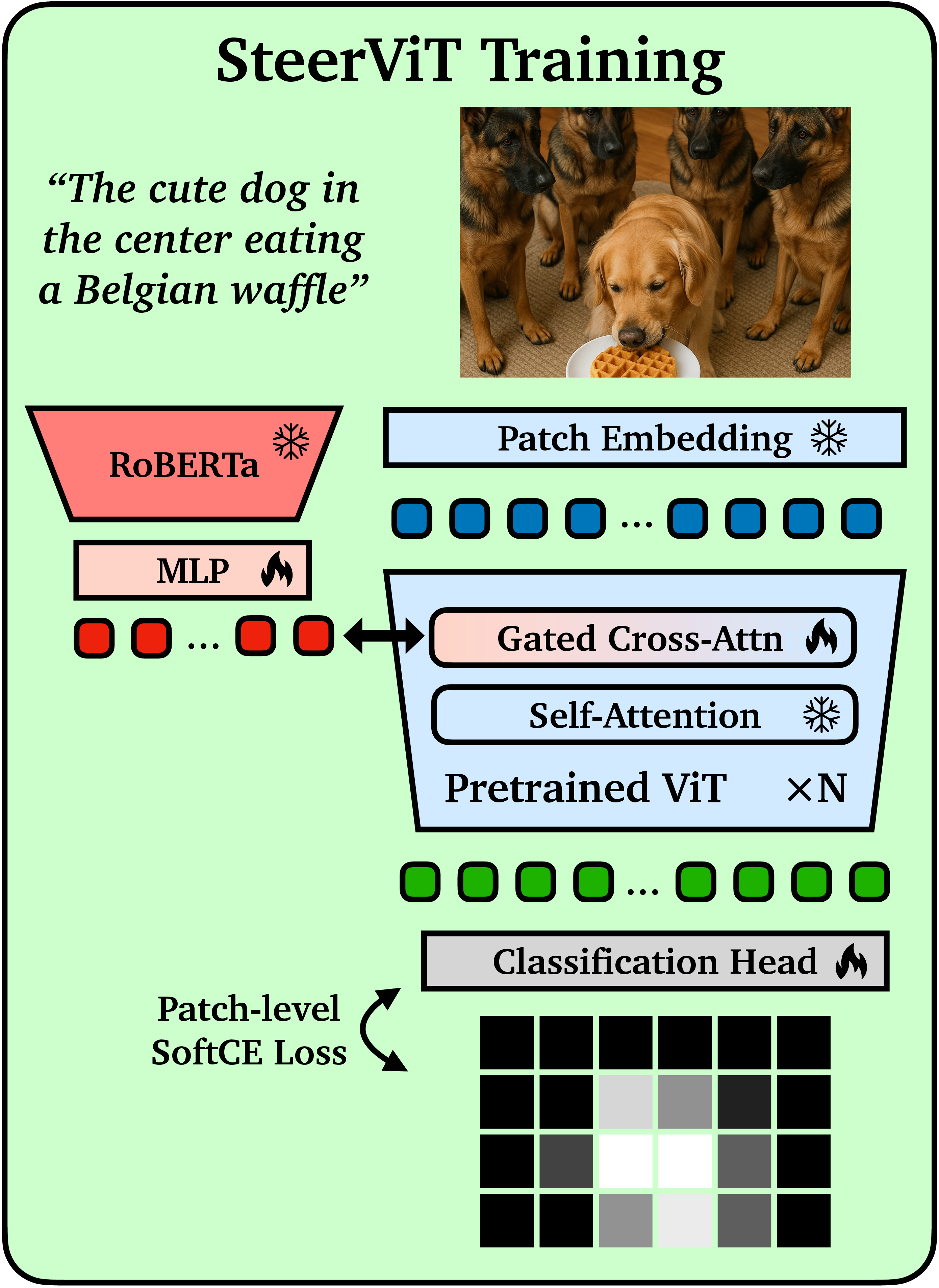 SteerViT architecture diagram